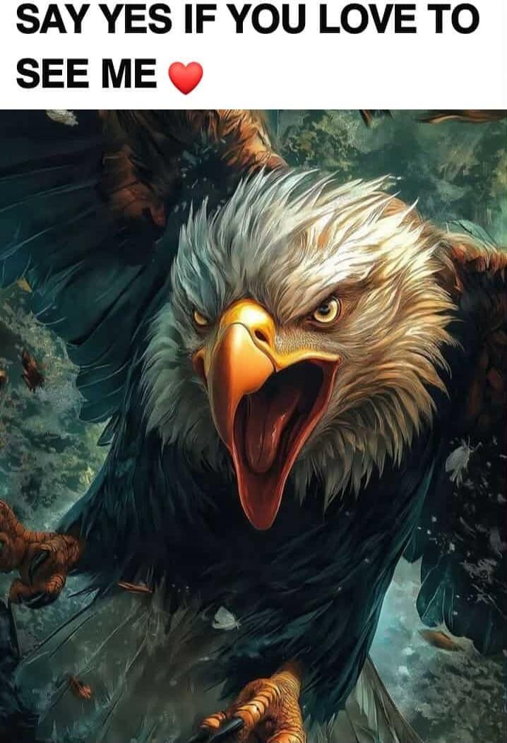 SAY YES IF YOU LOVE TO SEE ME ❤️