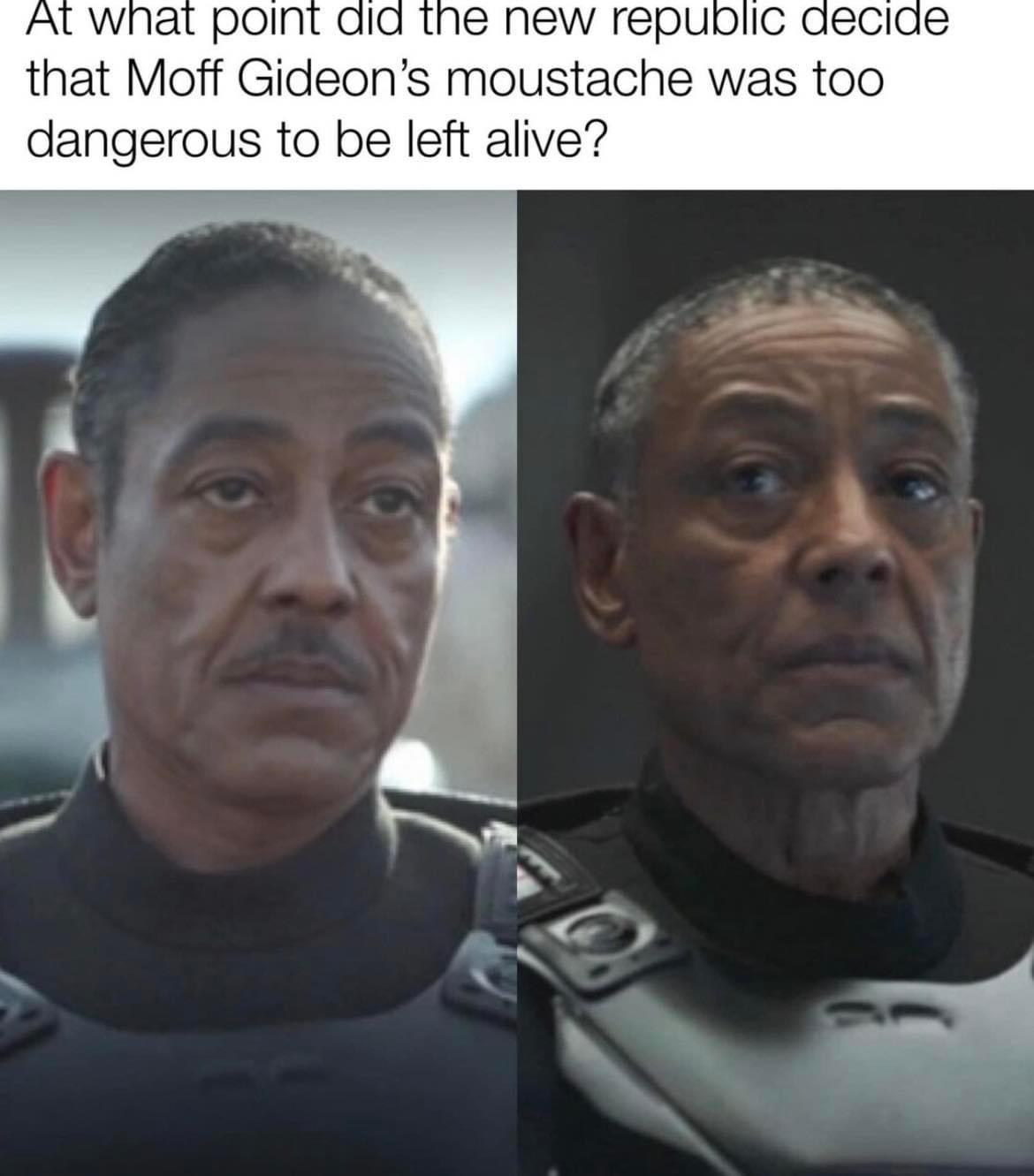 that Moff Gideons moustache was too dangerous to be left alive
