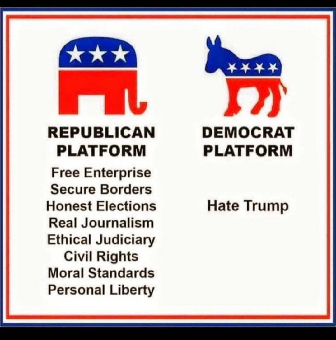 REPUBLICAN PLATFORM Free Enterprise Secure Borders Honest Elections Real Journalism Ethical Judiciary Civil Rights Moral Standards Personal Liberty DEMOCRAT PLATFORM Hate Trump