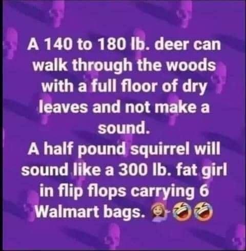 7 A 14010 180 Ib deer can LELS UL the woods wutl1 a full floor of LA Ieaves and not make a sound A half pound squirrel will sound Ilke a 300 Ib fat girl _in fllp flops carrying 3 Walmart bags