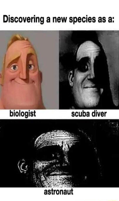 Discovering a new species as a biologist scuba diver