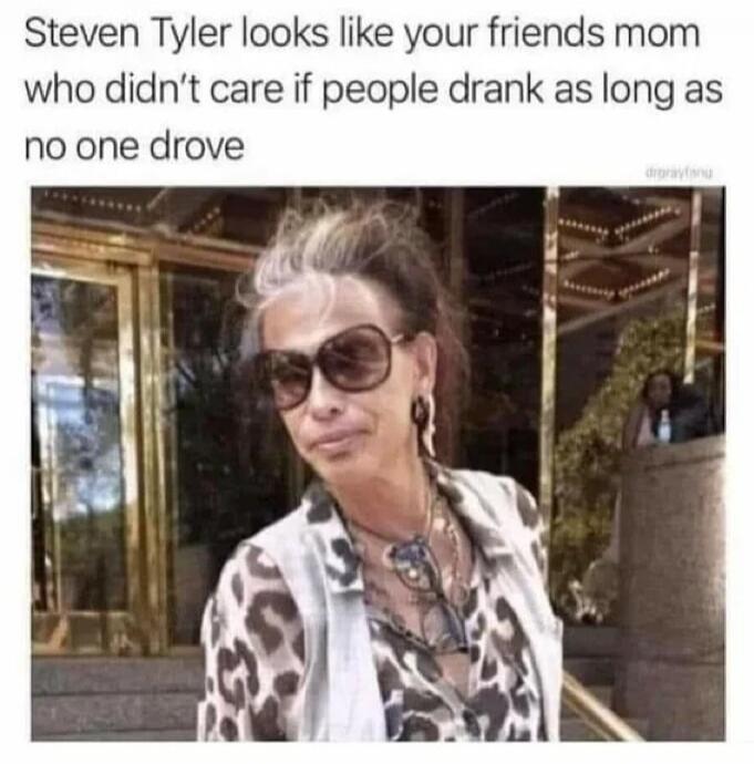 Steven Tyler looks like your friends mom who didn't care if people drank as long as no one drove