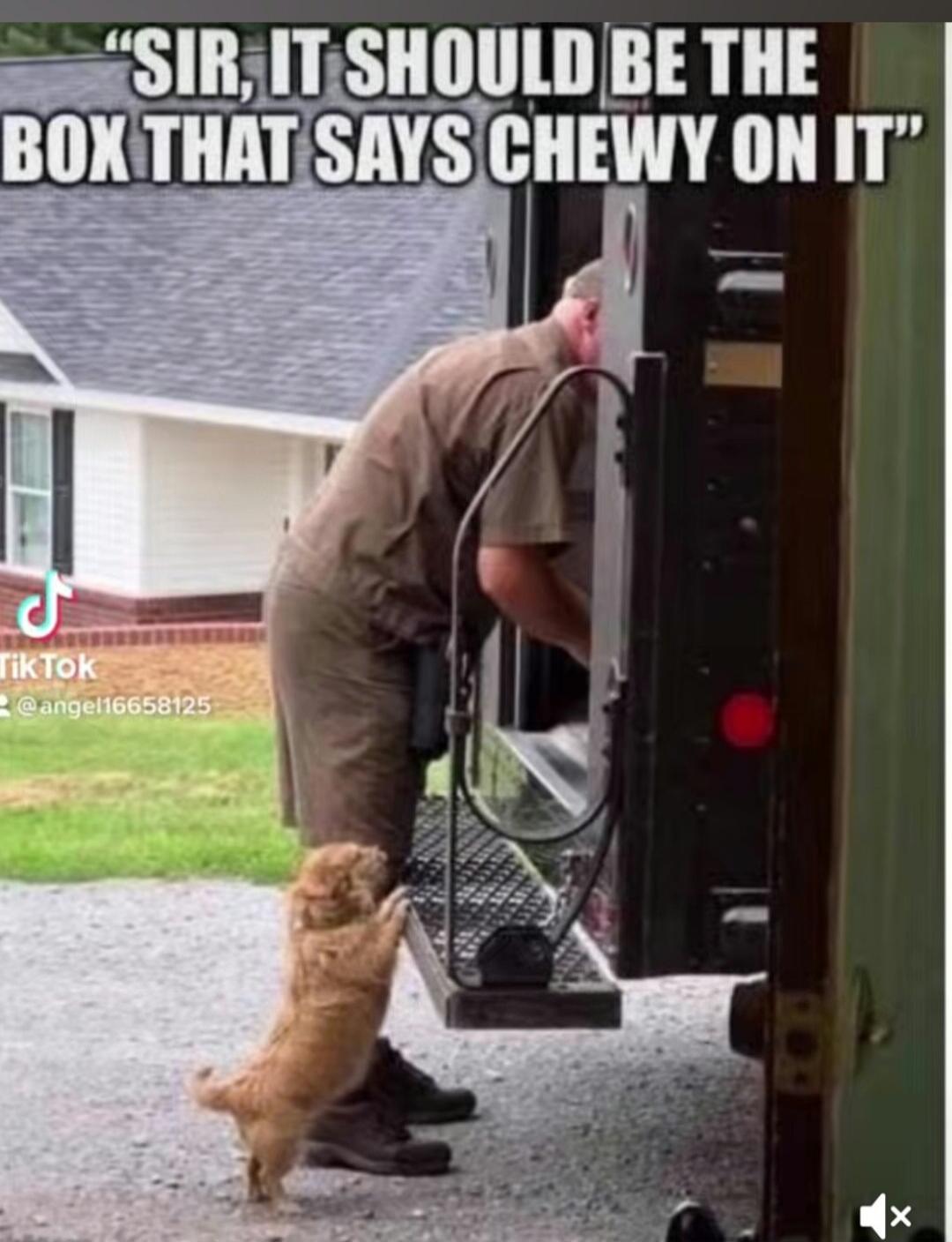 SIR, IT SHOULD BE THE BOX THAT SAYS CHEWY ON IT