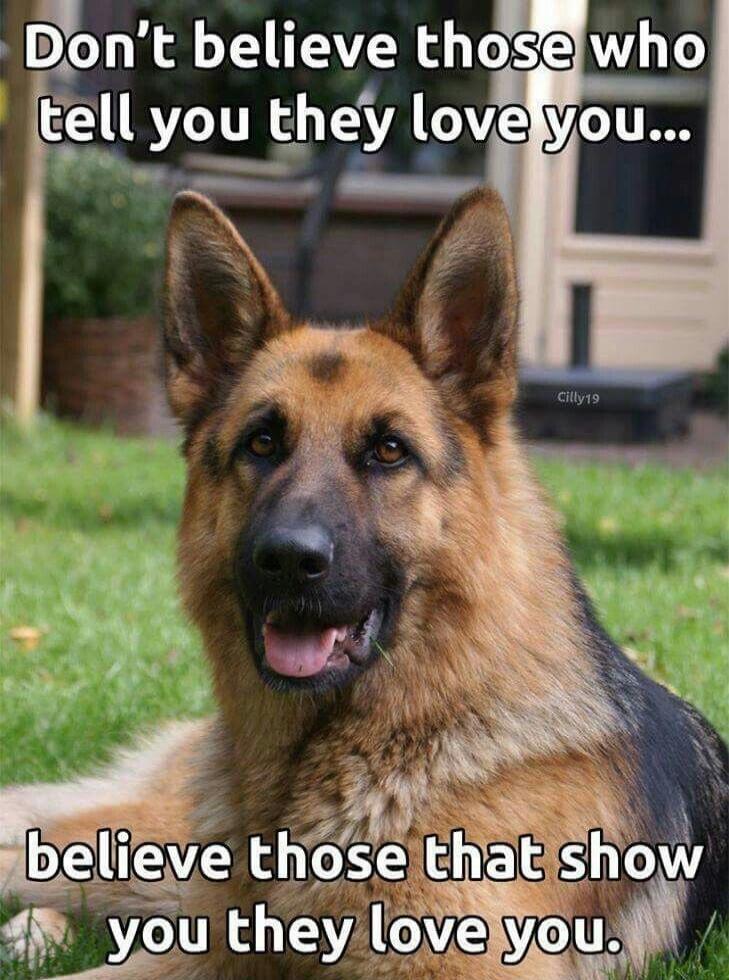 Don't believe those who tell you they love you... believe those that show you they love you.