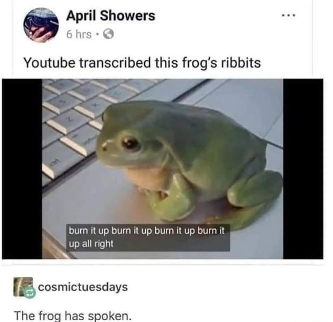 April Showers Youtube transcribed this frogs ribbits bum it up bum it up bum it up bur it up all right cosmictuesdays The frog has spoken