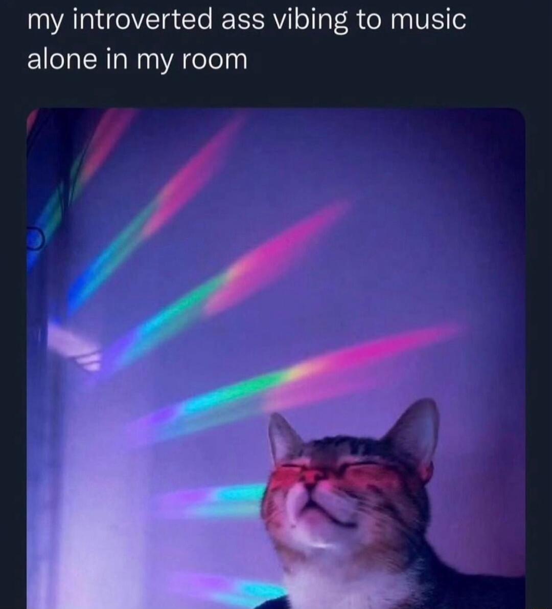 my introverted ass vibing to music alone in my room