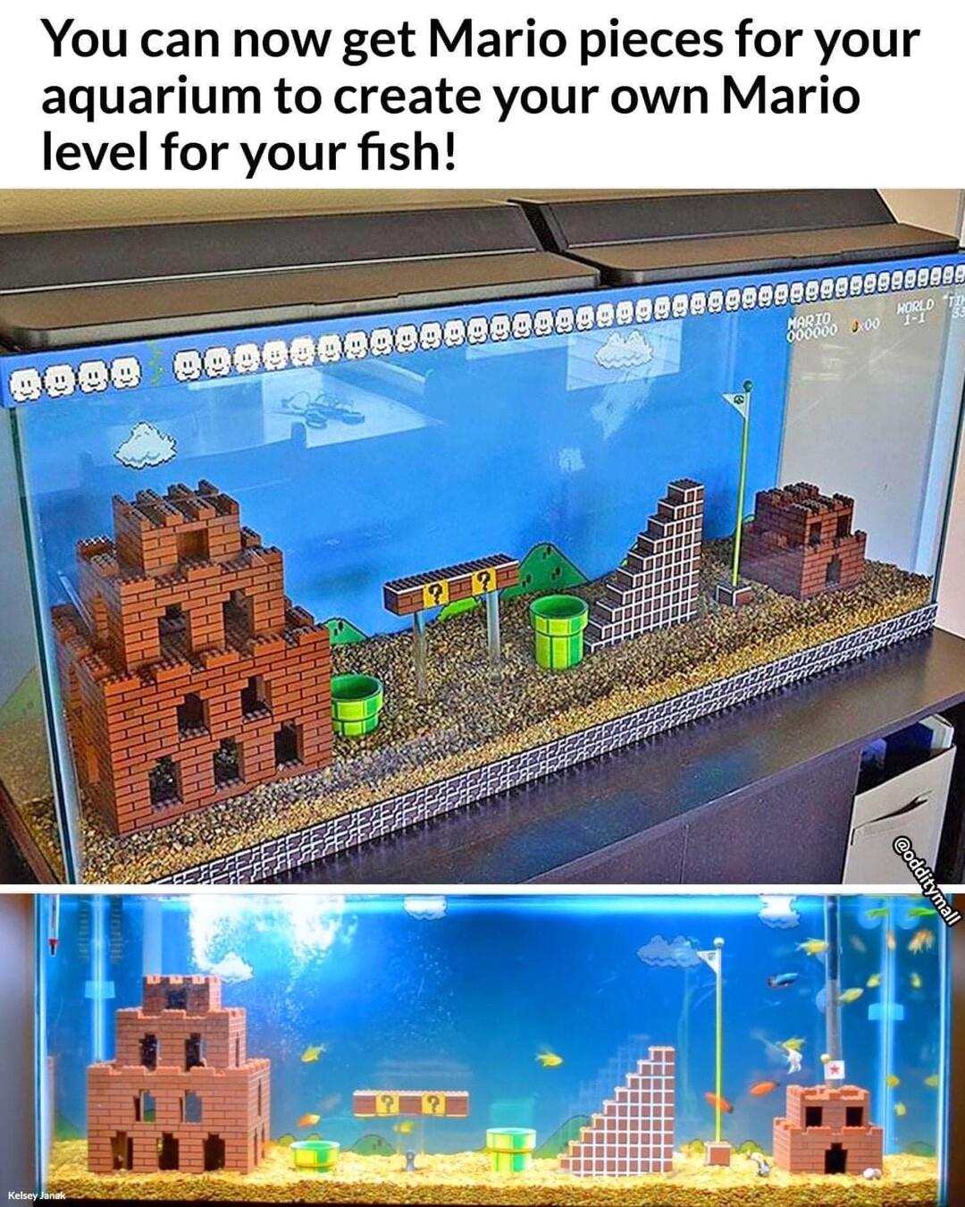 You can now get Mario pieces for your aquarium to create your own Mario level for your fish