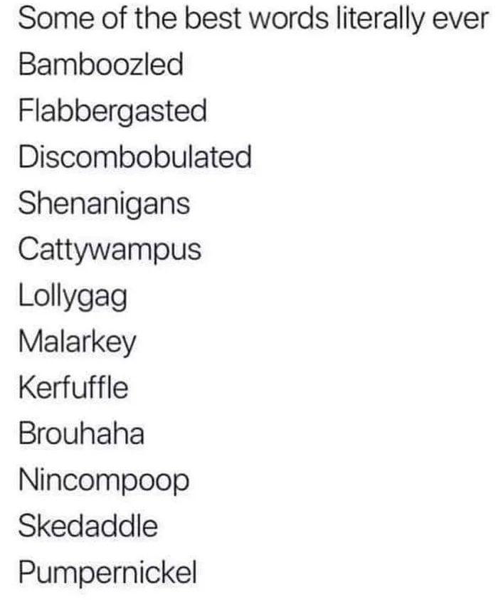Some of the best words literally ever Bamboozled Flabbergasted Discombobulated Shenanigans Cattywampus Lollygag Malarkey Kerfuffle Brouhaha Nincompoop Skedaddle Pumpernickel