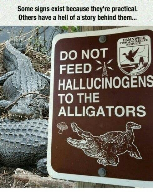 Some signs exist because they're practical. Others have a hell of a story behind them... DAMNWEEK FISH & WILDLIFE SERVICE. DO NOT FEED HALLUCINOGENS TO THE ALLIGATORS. DEPARTMENT OF THE INTERIOR.