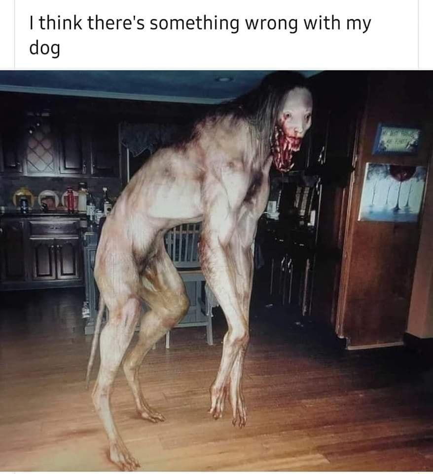 I think t something wrong with my