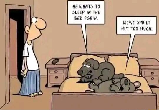 HE WANTS TO SLEEP IN THE BED AGAIN WEE SPOILT HIF T0O MUCH