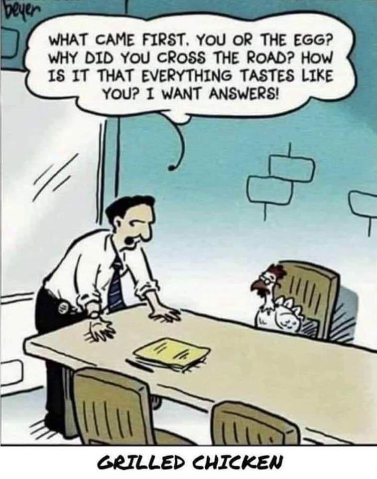 WHAT CAME FIRST YOU OR THE EGG WHY DID YOU CROSS THE ROAD How 18 IT THAT EVERYTHING TASTES LIKE YOU 1 WANT ANSWERS GRILLED CHICKEN