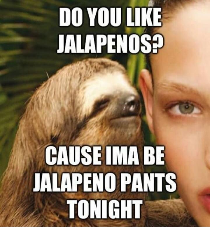 DO YOU LIKE JALAPENOS? CAUSE IMA BE JALAPENO PANTS TONIGHT