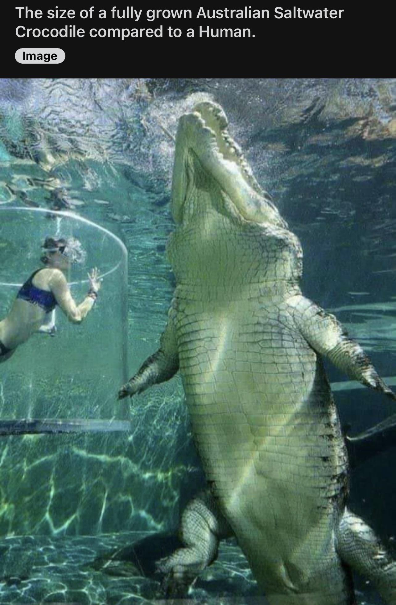 LG CES PSR T e WAV E L EL IS E WLl g ol geTelo o Nelo o EIgTe RN o V13 T2 R