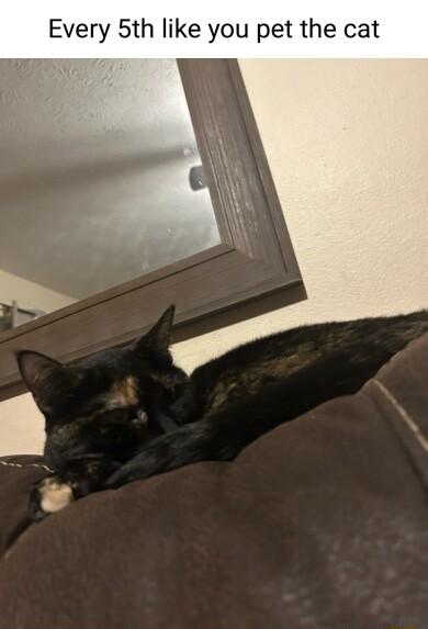 Every 5th like you pet the cat