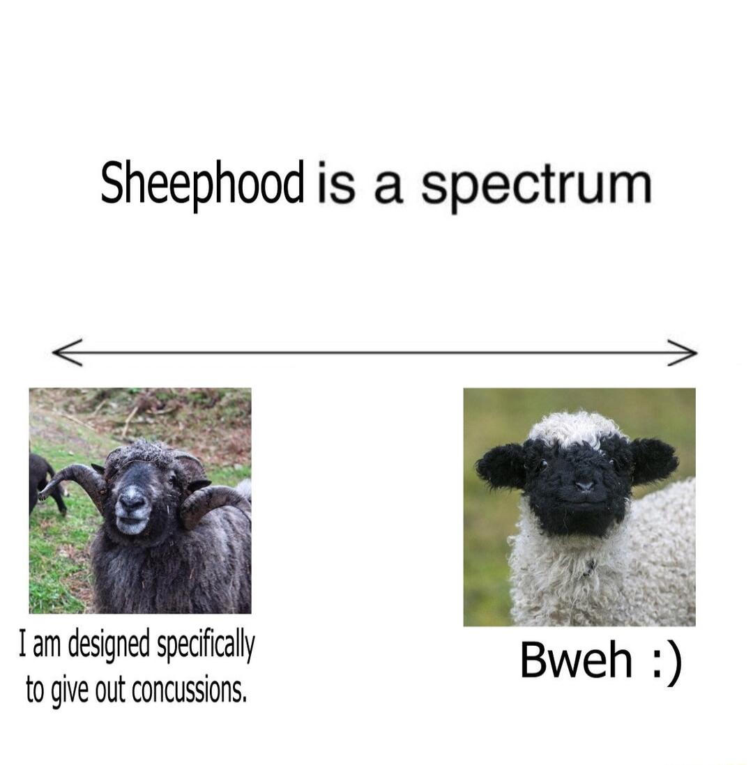 Sheephood is a spectrum T desned peciicaly o give out concussions