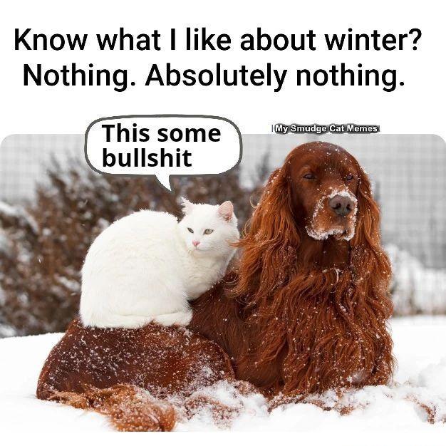 Know what like about winter Nothing Absolutely nothing