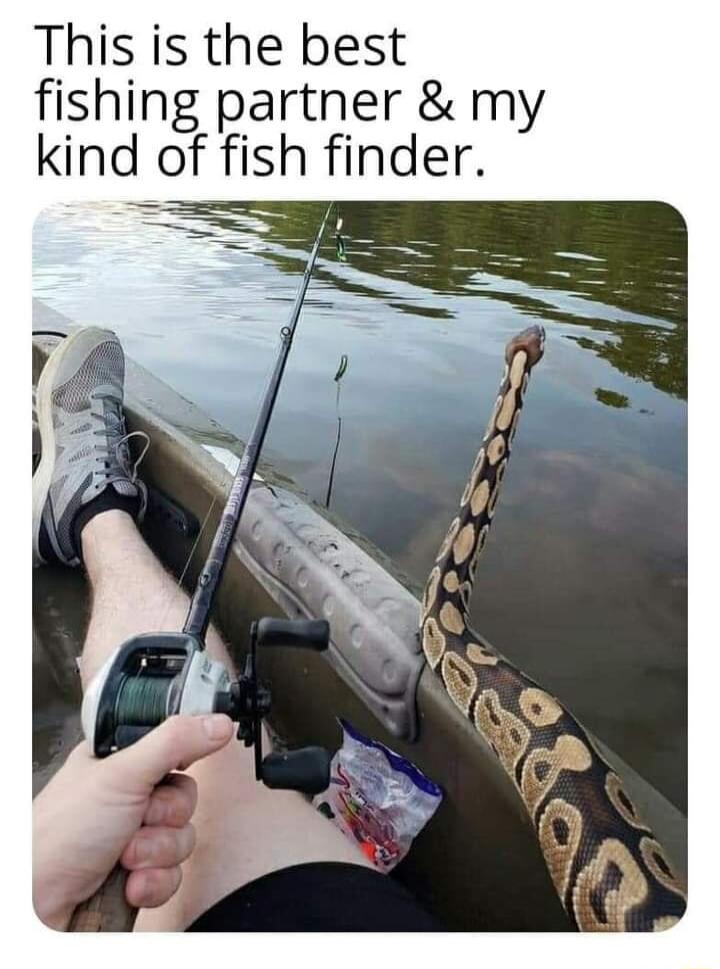 This is the best fishing partner my klnd of fsh flnder