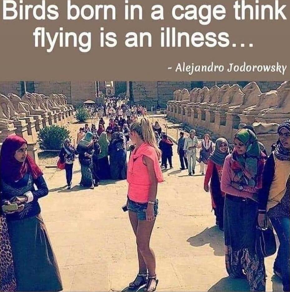 Birds born in a cage think flying is an illness…
- Alejandro Jodorowsky