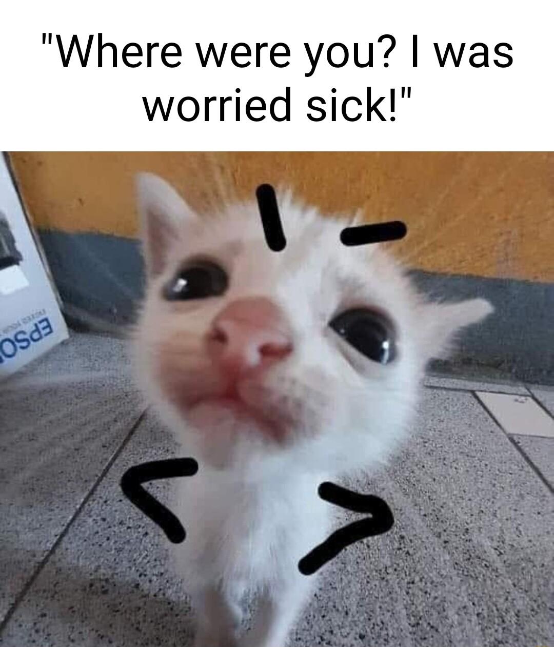 Where were you was worried sick