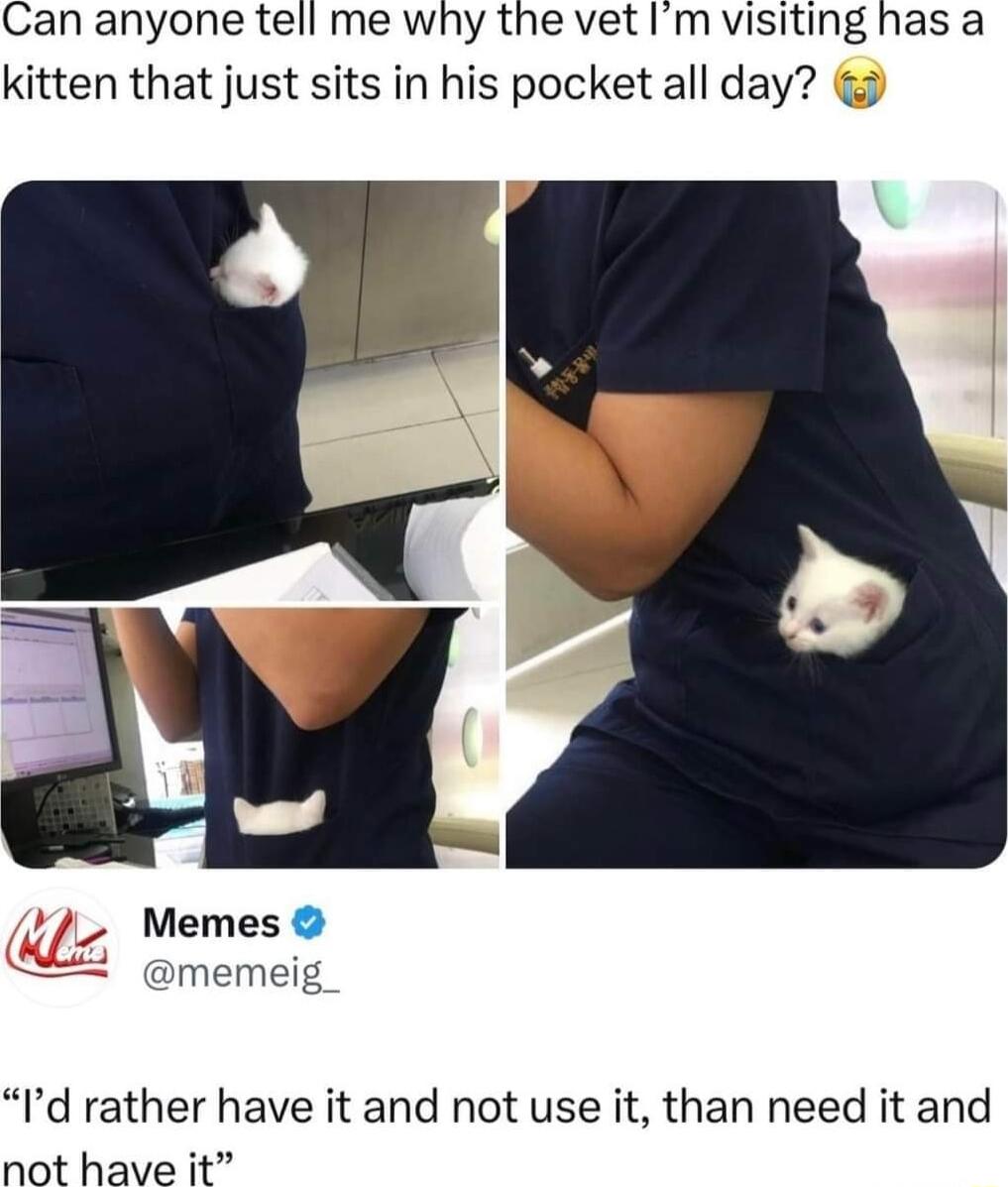 Can anyone tell me why the vet Im visiting has a kitten that just sits in his pocket all day Memes L memeig Id rather have it and not use it than need it and not have it