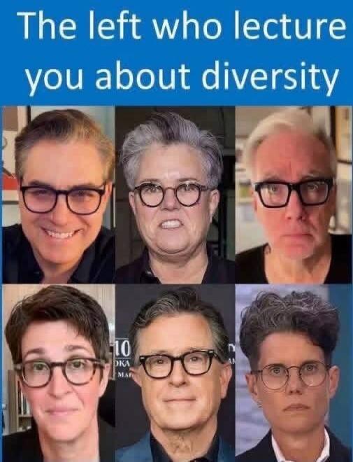 The left who lecture you about diversity