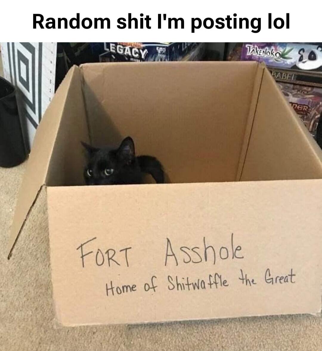 Random shit I'm posting lol
FORT ASSHOLE
Home of Shitwaffle the Great