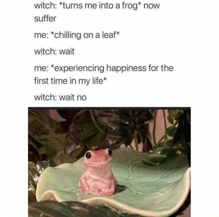witch turns me into a frog now suffer me chilling on a leaf witch wait me experiencing happiness for the first time in my life witch wait no