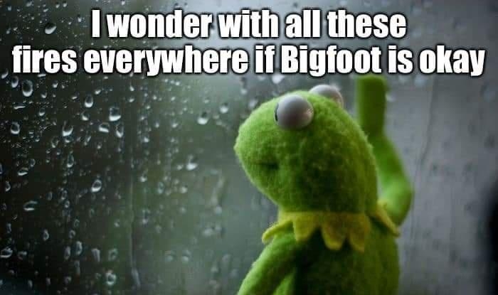 Iwonderwithallthese fires everywhereiif Bigfoot is okay R Lo A db s n t T