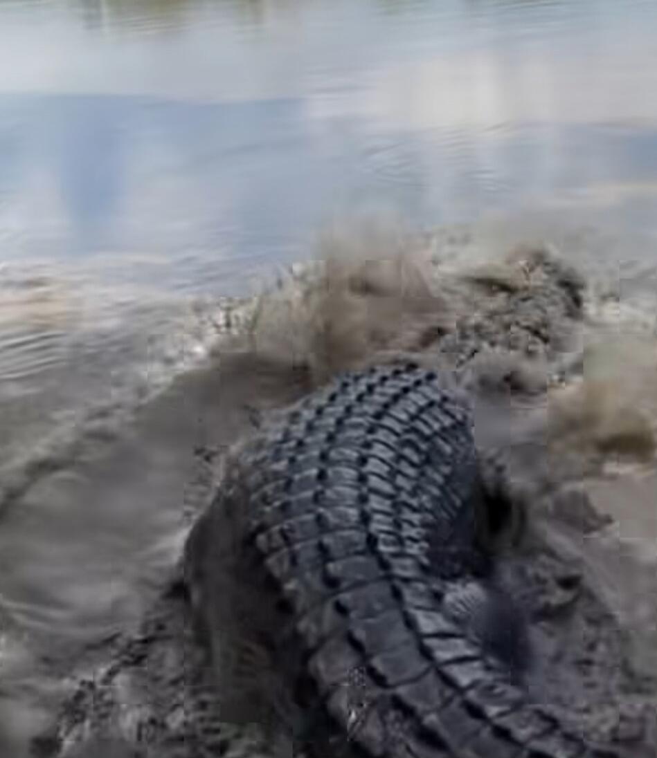 Session ID: 1066293.