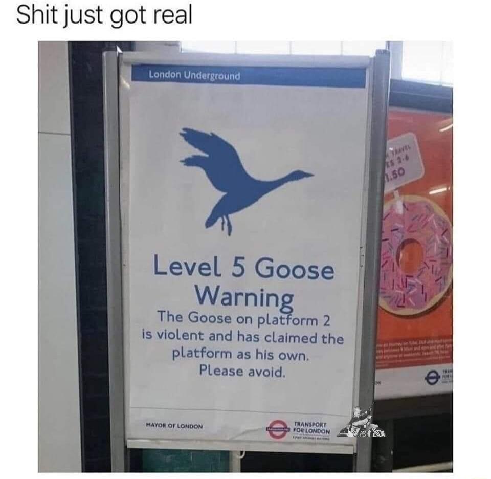 Shit just got real Level 5 Goose Warmng I The Goose on platform 2 Is violent and has claimed the platform as his own Please avold