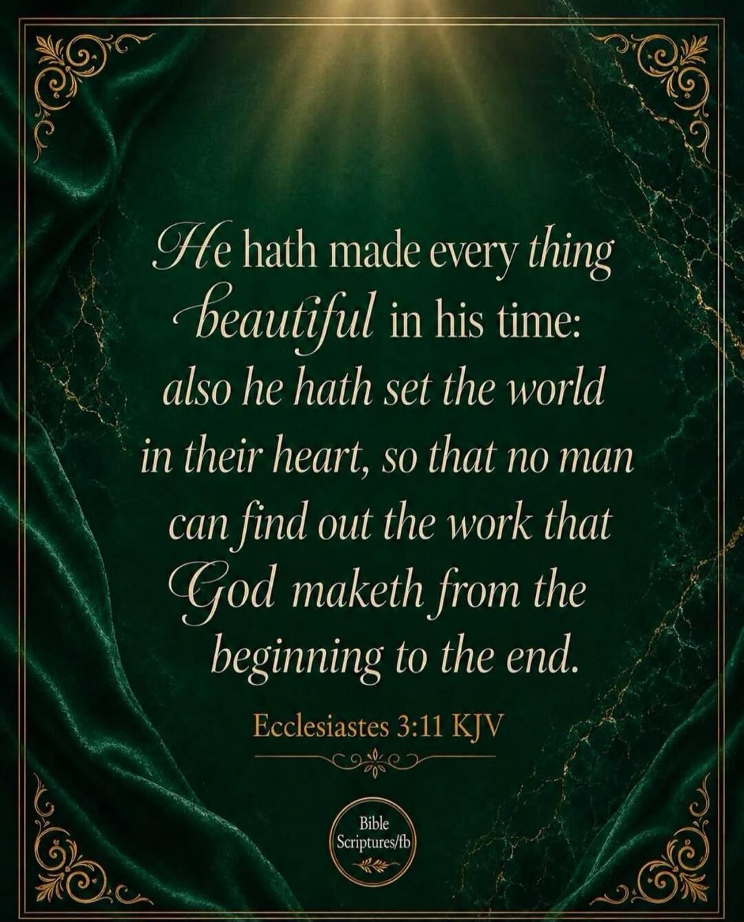 He hath made every thing beautiful in his time: also he hath set the world in their heart, so that no man can find out the work that God maketh from the beginning to the end. Ecclesiastes 3:11 KJV Bible Scriptures/fb