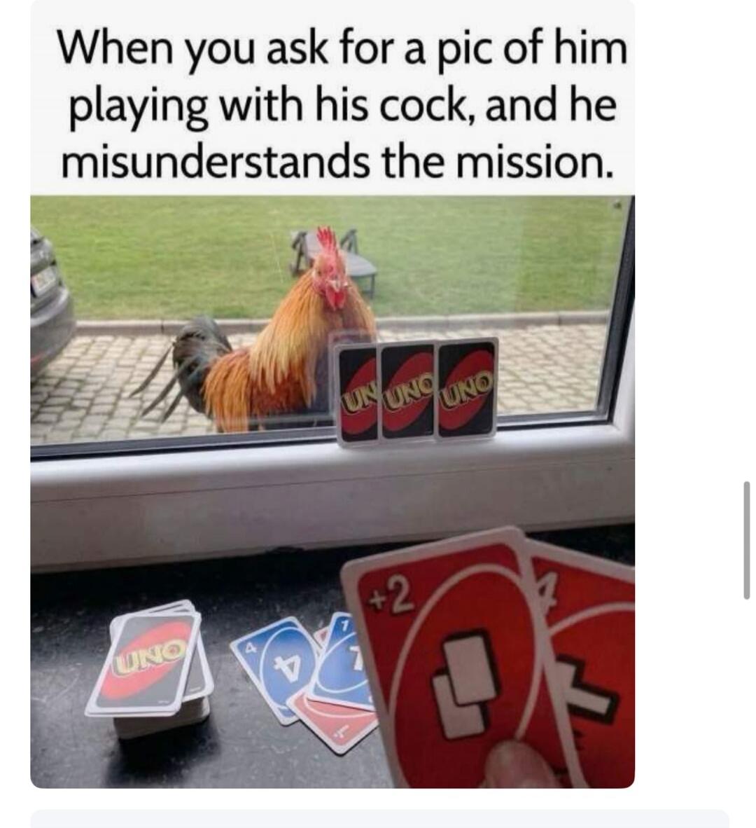 When you ask for a pic of him playing with his cock, and he misunderstands the mission. A rooster is seen outside a window, and UNO cards are on the windowsill and being held.