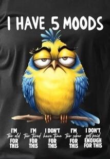 I HAVE 5 MOODS I'M Too old FOR THIS I'M Too tired FOR THIS I DON'T have time FOR THIS I'M Too sober FOR THIS I DON'T get paid enough FOR THIS