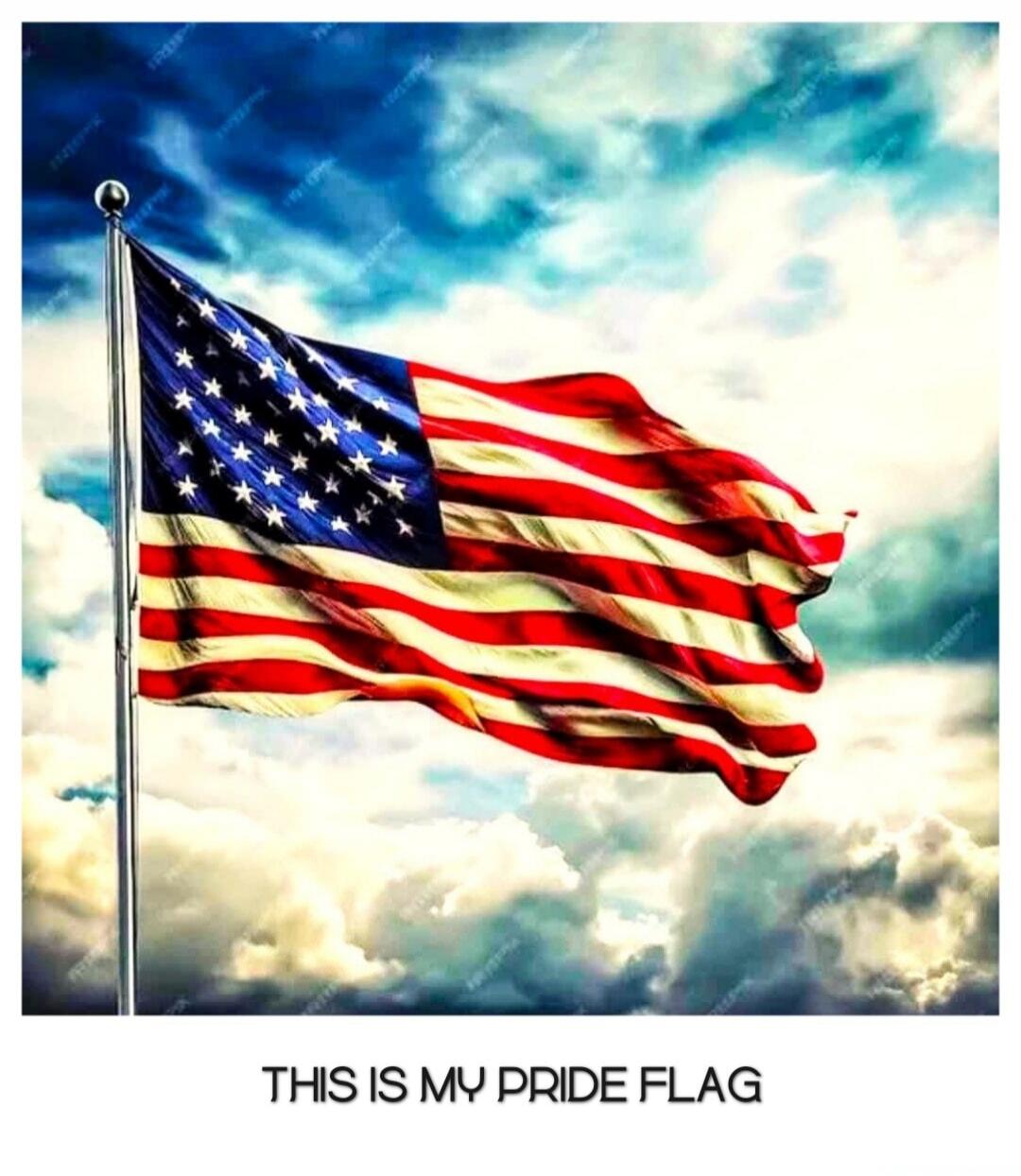 THIS IS MY PRIDE FLAG