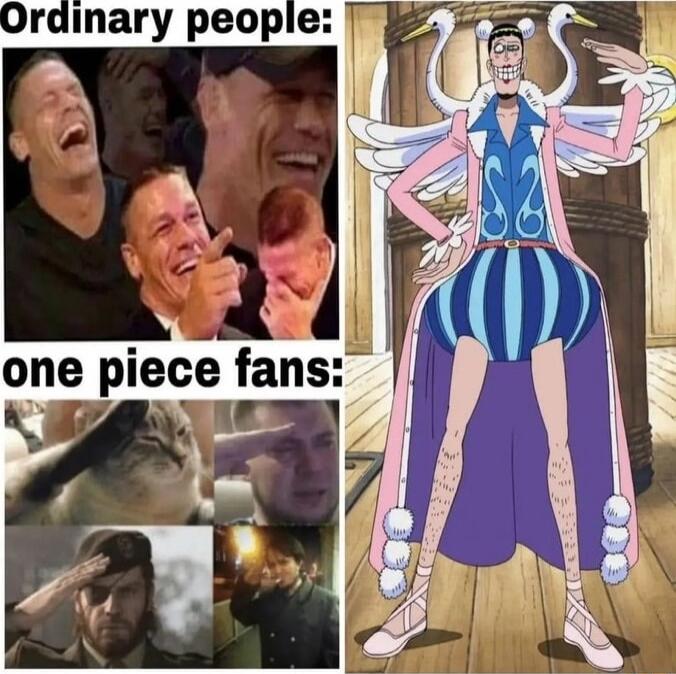 Ordinary people:
one piece fans: