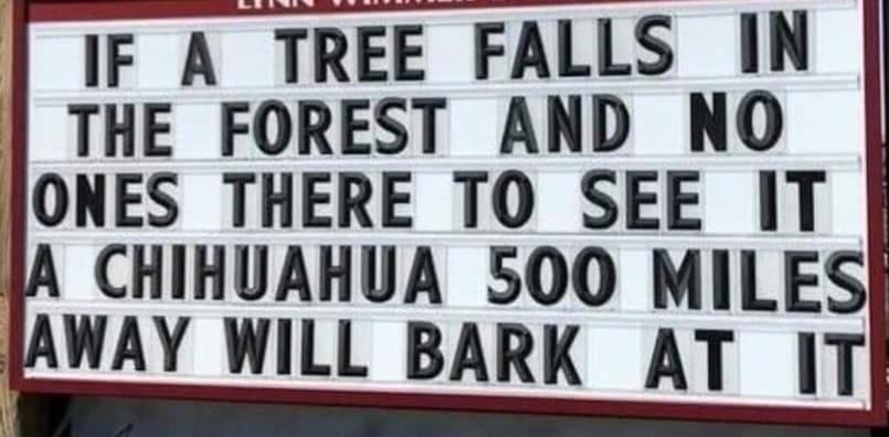 IF A TREE FALLS IN THE FOREST AND NO JONES THERE TO SEE IT CHIHUAHUA 500 MILES WAY WILL BARK AT IT
