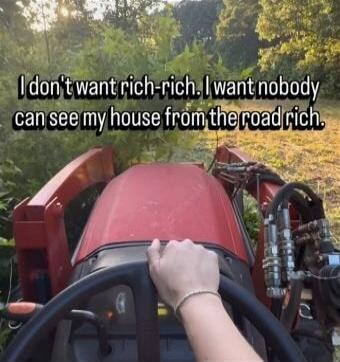 I don't want rich-rich. I want nobody can see my house from the road rich.