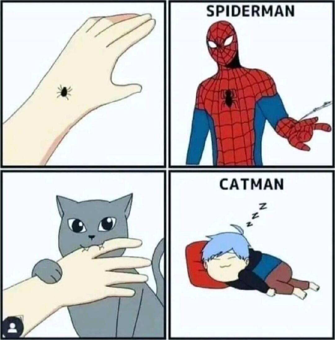 Panel 1: a hand with a small insect on the finger. Panel 2: SPIDERMAN with a spider symbol on his chest. Panel 3: a cat playfully grabbing the finger. Panel 4: a person sleeping with a pillow, labeled CATMAN.