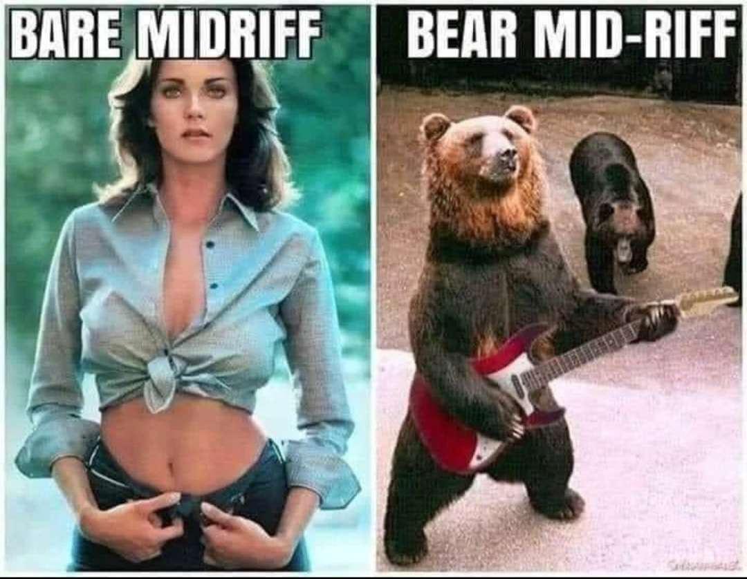 BAREMIDRIFF BEAR MID RIFF