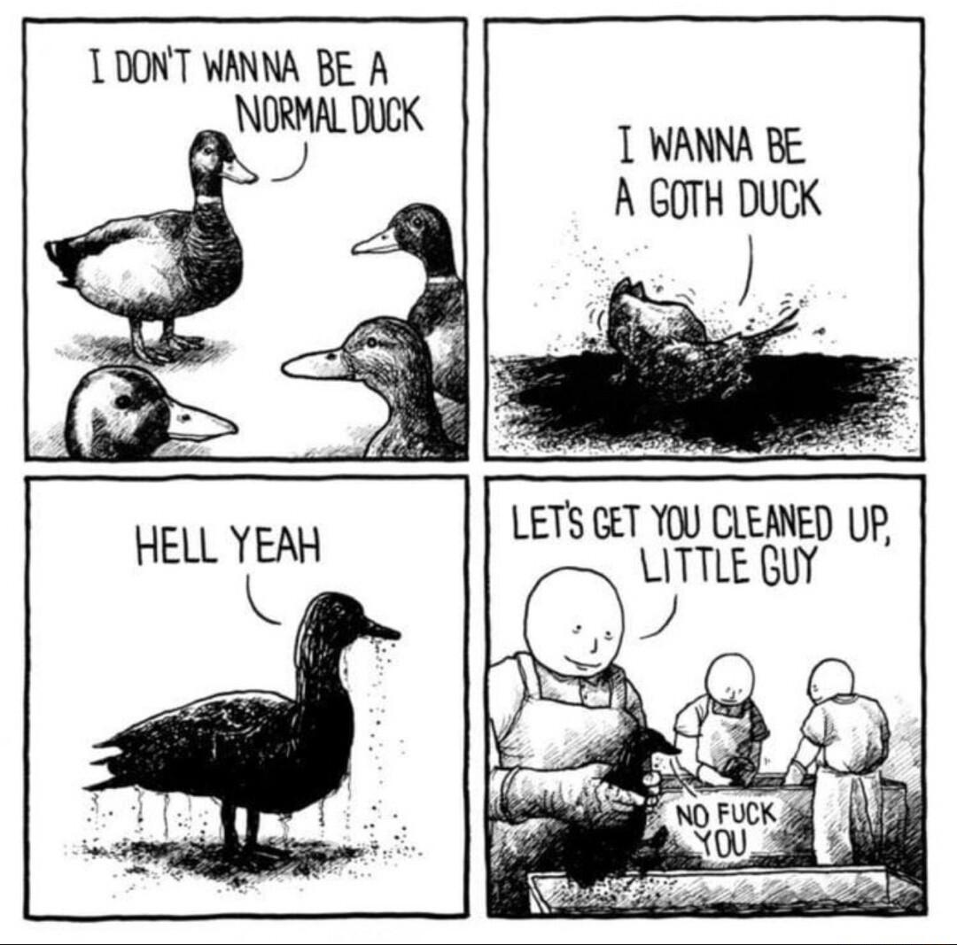 TDONT WANNA BE A T WANNA BE A GOTH DUCK LETS CET YOU CLEAVED UP ITTLE GUY