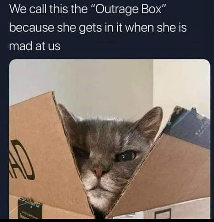 We call this the Outrage Box because she gets in it when she is EC TS