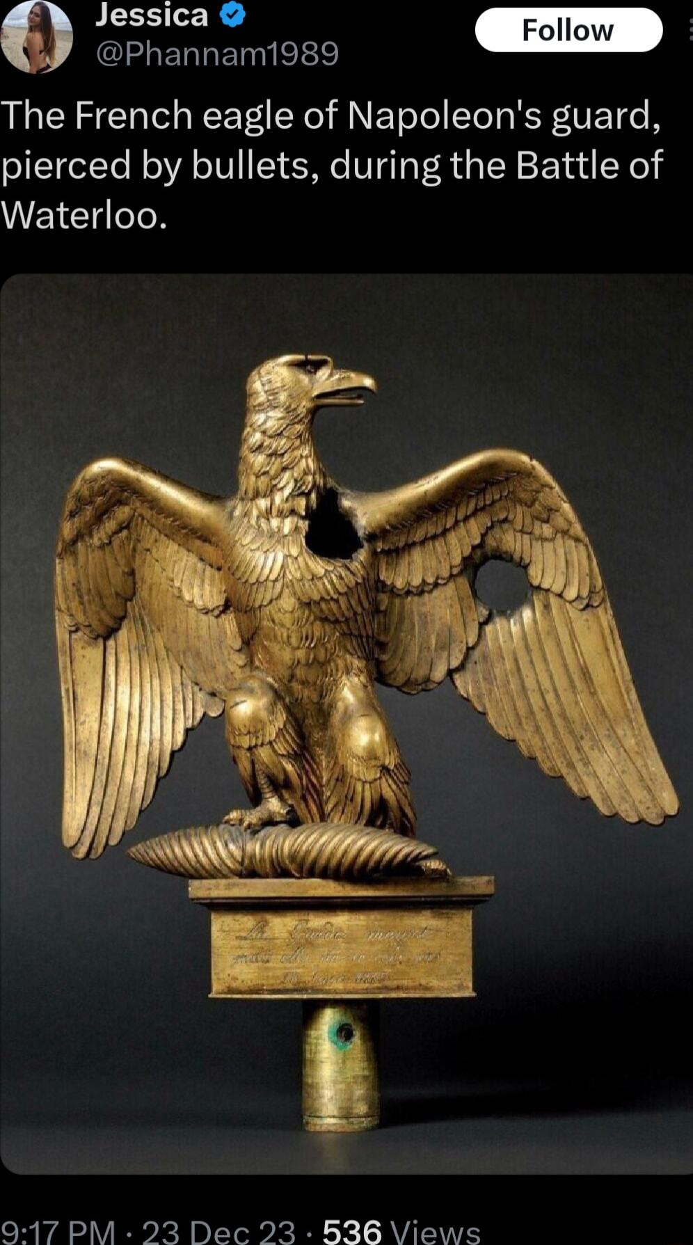 Jessica s Il QELERREIele The French eagle of Napoleons guard pierced by bullets during the Battle of Waterloo 917 PM 23 Dec 23 536 Views