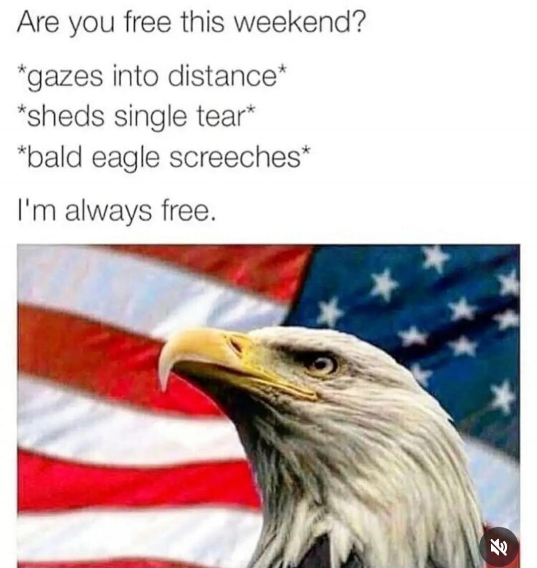 Are you free this weekend? *gazes into distance* *sheds single tear* *bald eagle screeches* I'm always free.