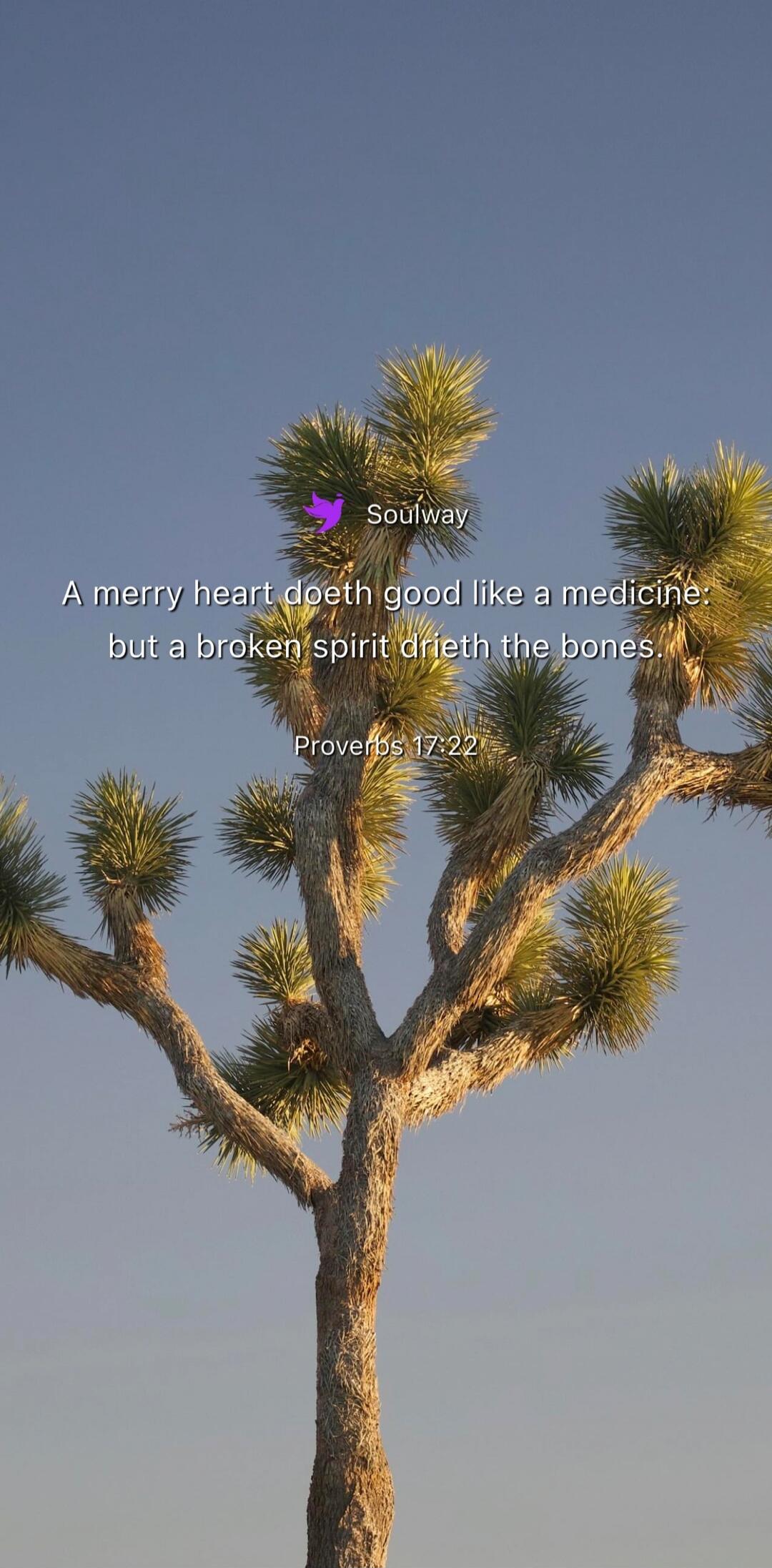 Soulway A merry heart doeth good like a medicine: but a broken spirit drieth the bones. Proverbs 17:22