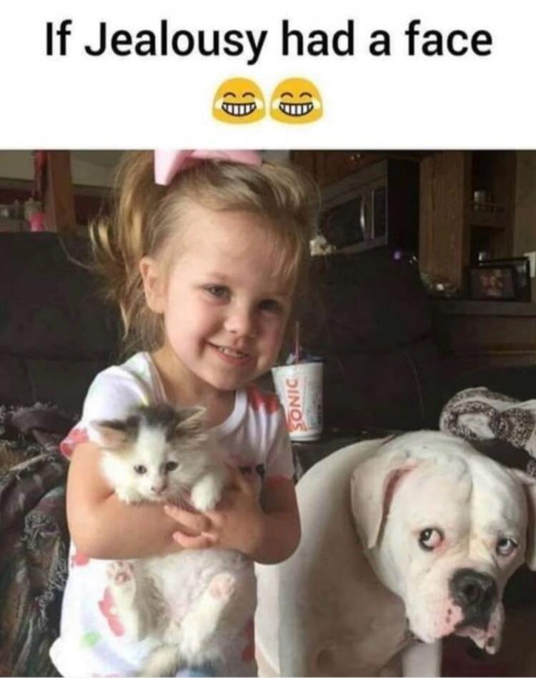 If Jealousy had a face 😂 😂