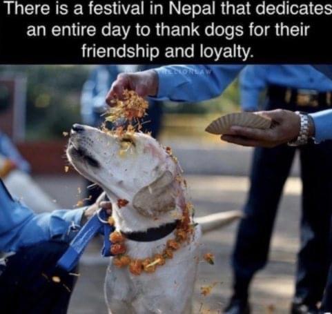 There is a festival in Nepal that dedicates EURCICRCEVAGRGED e e ER I lg friendship and loyalty