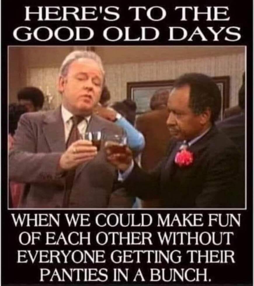 HERE'S TO THE GOOD OLD DAYS WHEN WE COULD MAKE FUN OF EACH OTHER WITHOUT EVERYONE GETTING THEIR PANTIES IN A BUNCH.