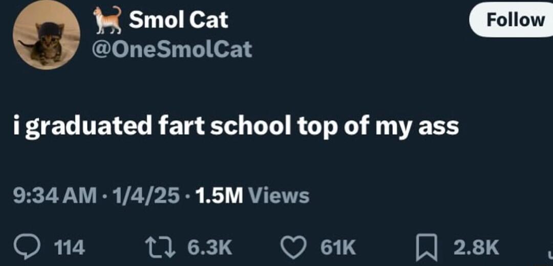 Smol Cat OneSmolCat igraduated fart school top of my ass 934 AM 1425 15M Views OR17 63k Q 61K 28k