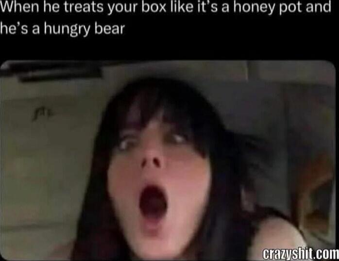 When he treats your box like it's a honey pot and he's a hungry bear